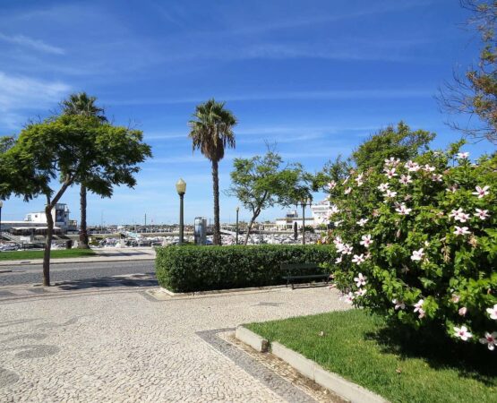 Jardim Manuel Bivar