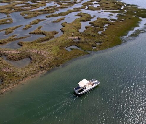 Ria Formosa Eco Boat Tour